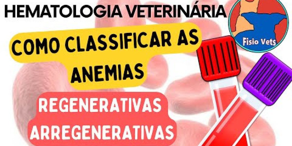 Citologia no Diagnóstico de Micoses em Animais: Entenda como Essa Prática Transforma o Cuidado com Seu Pet