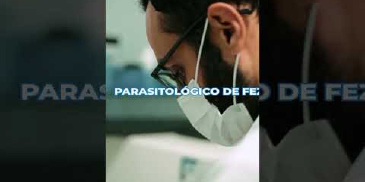 Entenda os Fatores que Influenciam o Preço da Ultrassonografia Veterinária