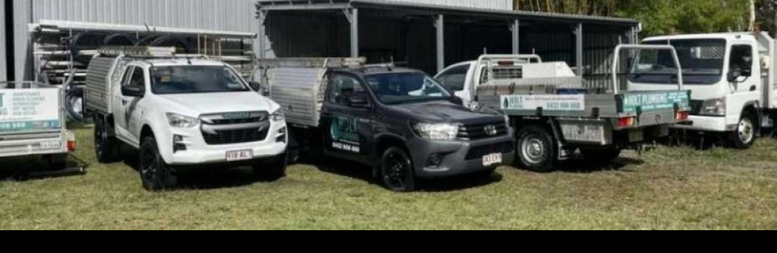 Holt Plumbing Cover Image
