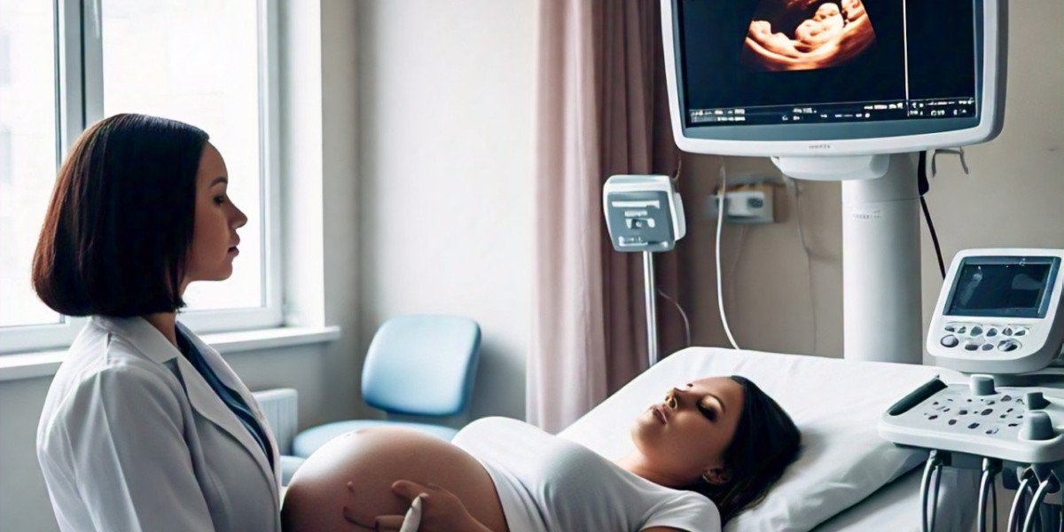 United States Ultrasound Device Market Forecast and Competitive Strategies 2025-2033