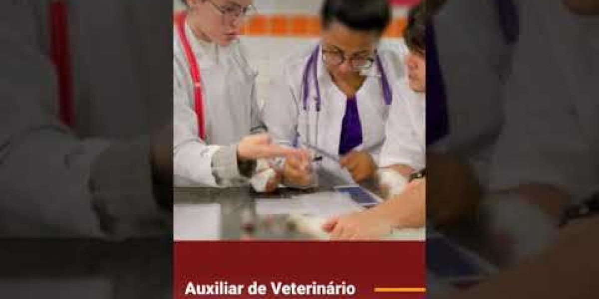 Exames laboratoriais: a chave para o apetite do seu pet voltar!
