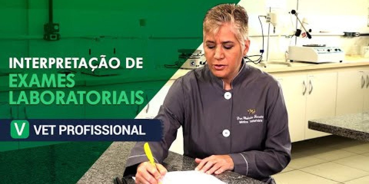 Check-up em Gatos: Entenda Mudanças de Comportamento e Exames Necessários